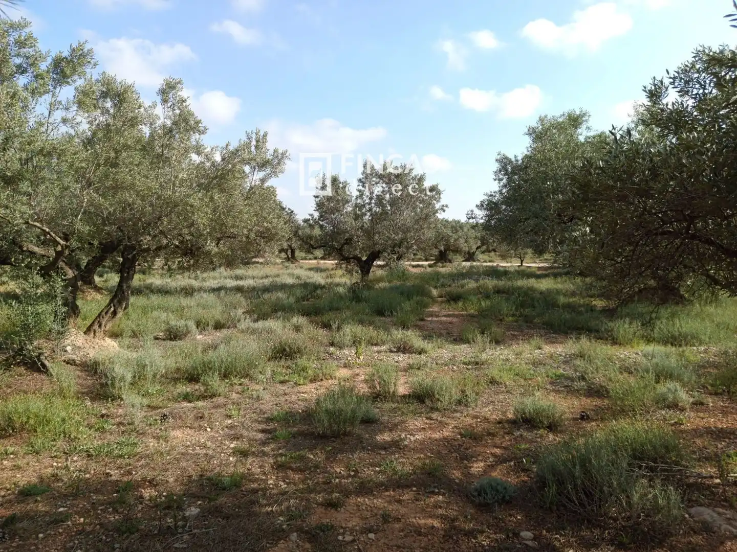 Country house for sale in QJMJ+85J, imagen 17