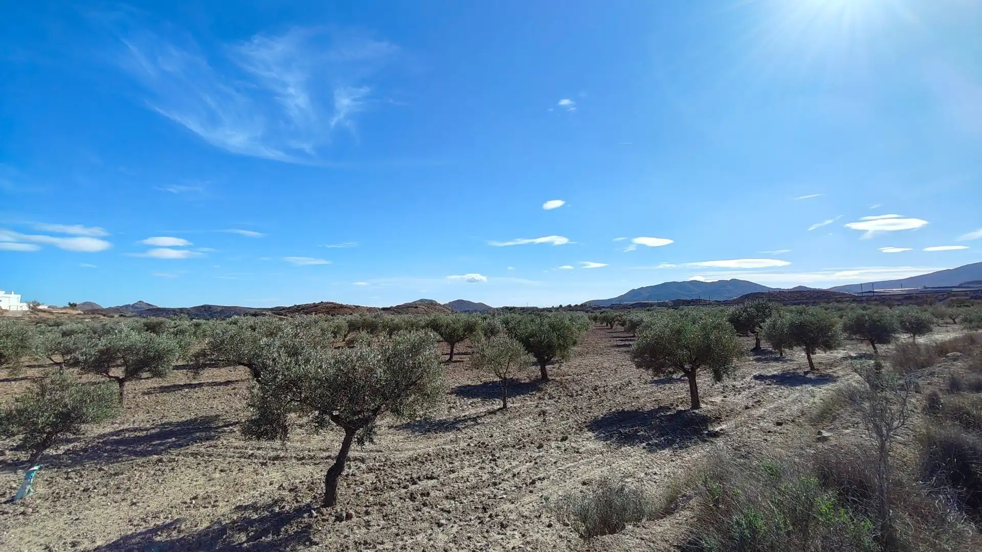 Terreno rustico in vendita a Campo Alto - Club de Campo, imagen 10