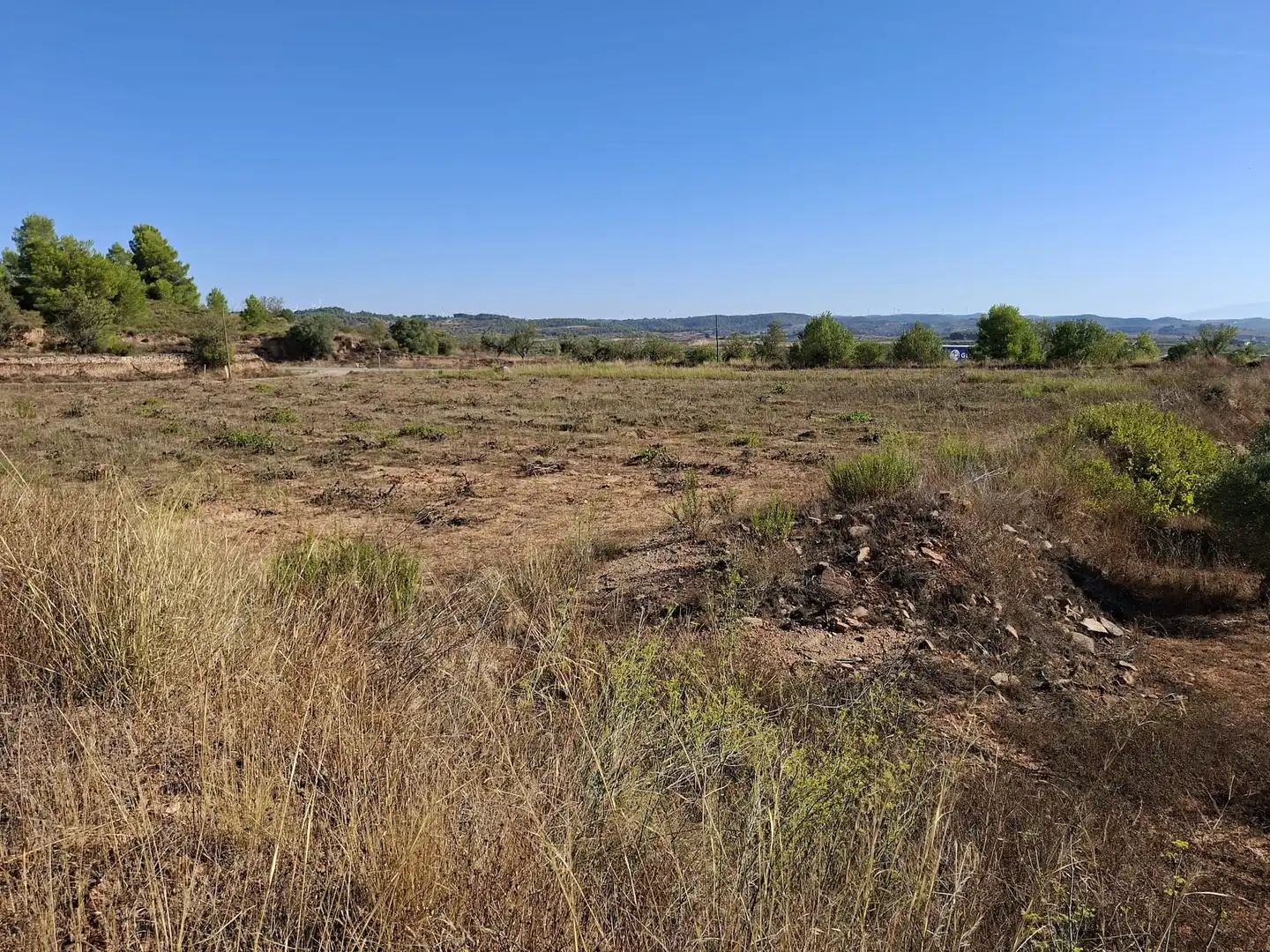 Terreno rustico in vendita a Diseminado Diseminats 6, imagen 3