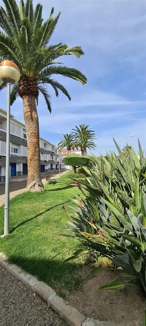 Apartament de lloguer a Carrer de Lleida, 25, Regueral - Prat d'en Forés