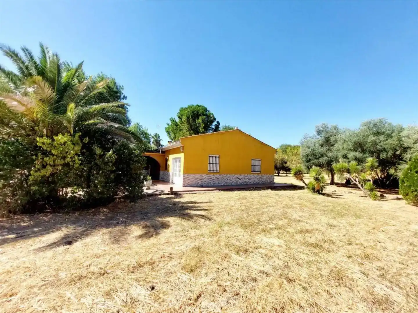 Jardí de Finca rústica en venda en Badajoz Capital