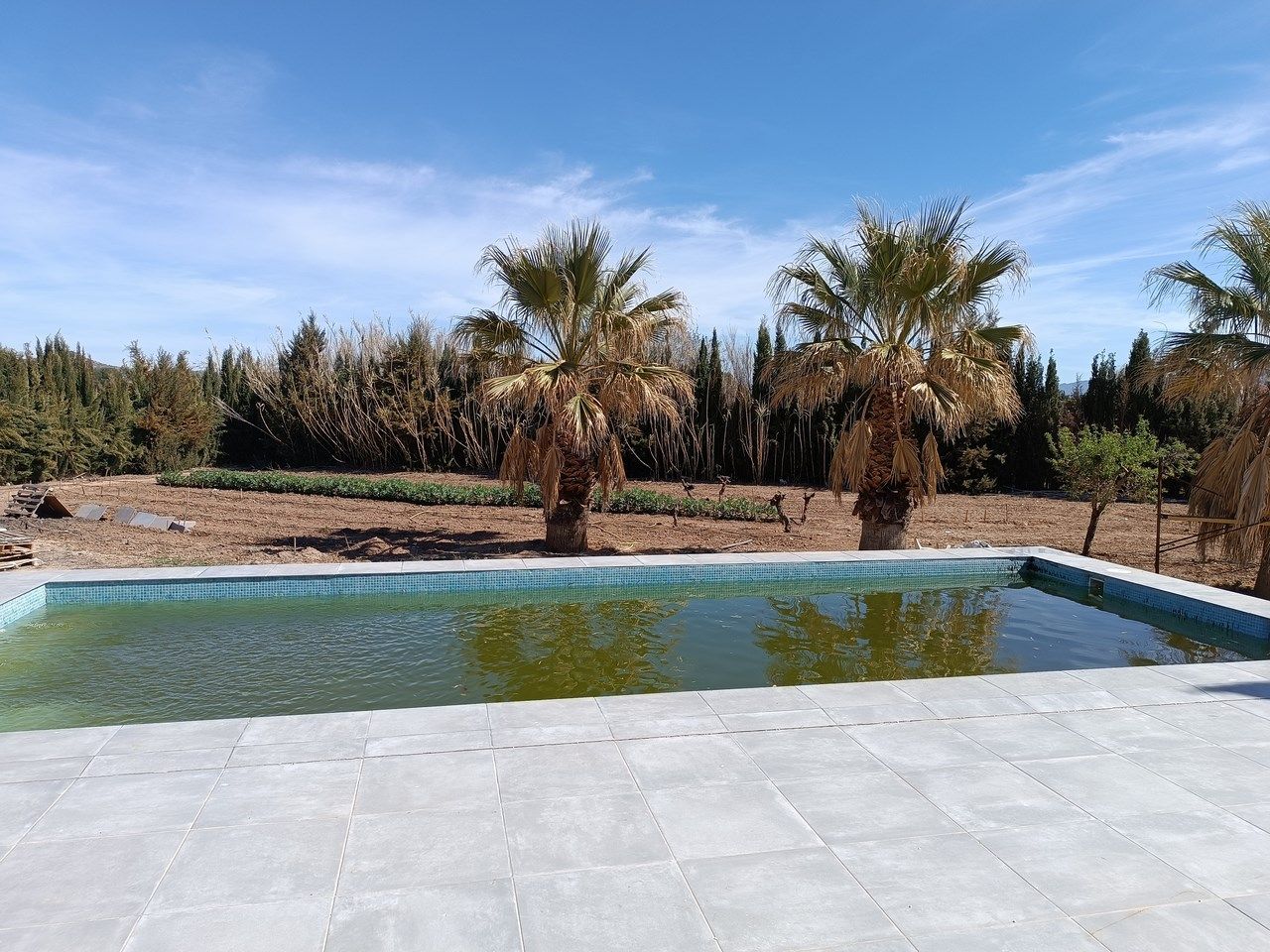 Swimming pool of House or chalet for sale in Yecla  with Internet