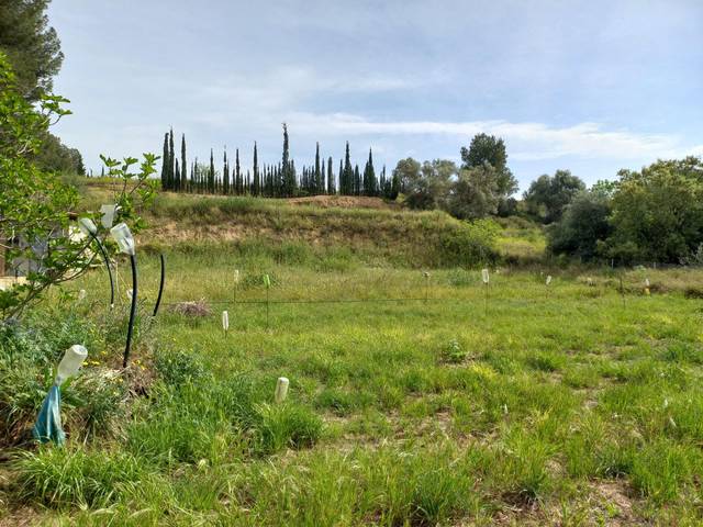 Terreno en Venta en Ginestar