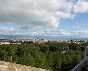 Vista exterior de Àtic en venda en Torremolinos amb Aire condicionat, Jardí privat i Terrassa