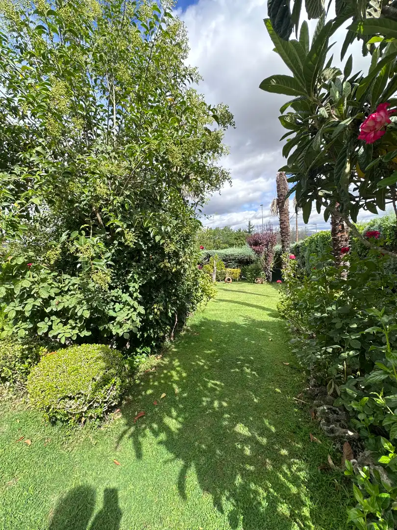 Jardí de Casa o xalet en venda en Las Rozas de Madrid amb Aire condicionat, Calefacció i Jardí privat