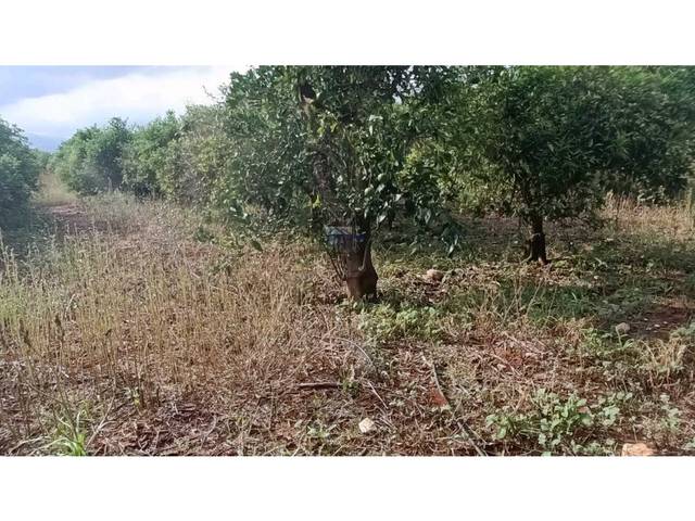 Terreno residencial en Venta en Benidoleig