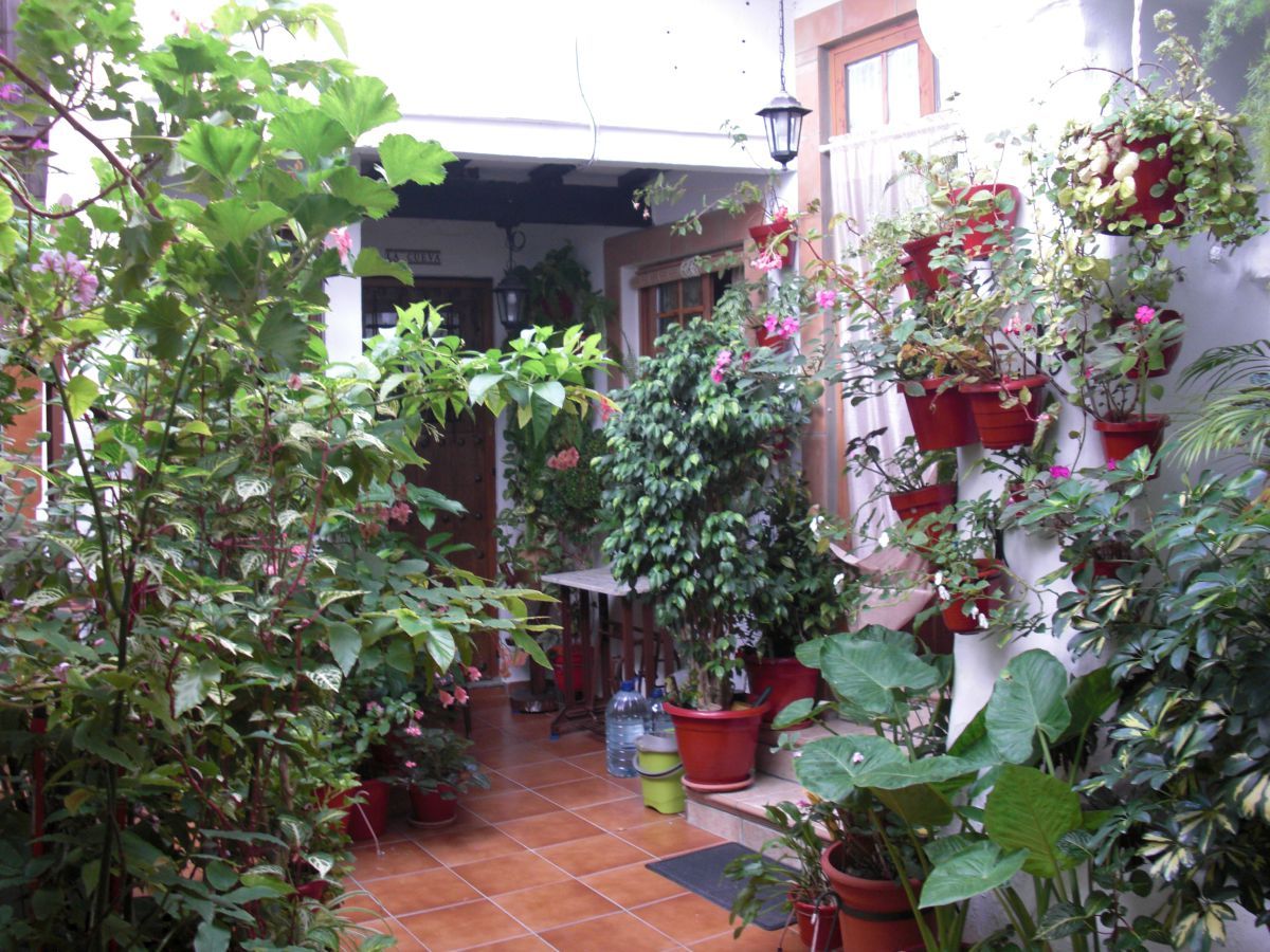 Garden of Apartment for rent in Vejer de la Frontera