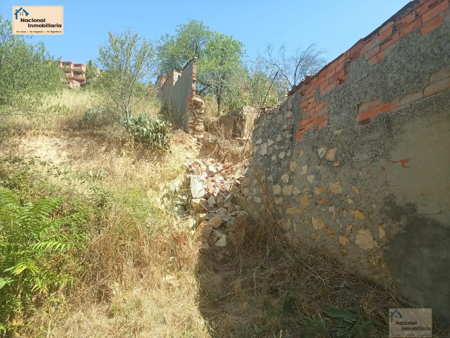 Terreni e lotti in vendita a Área Rural, imagen 9