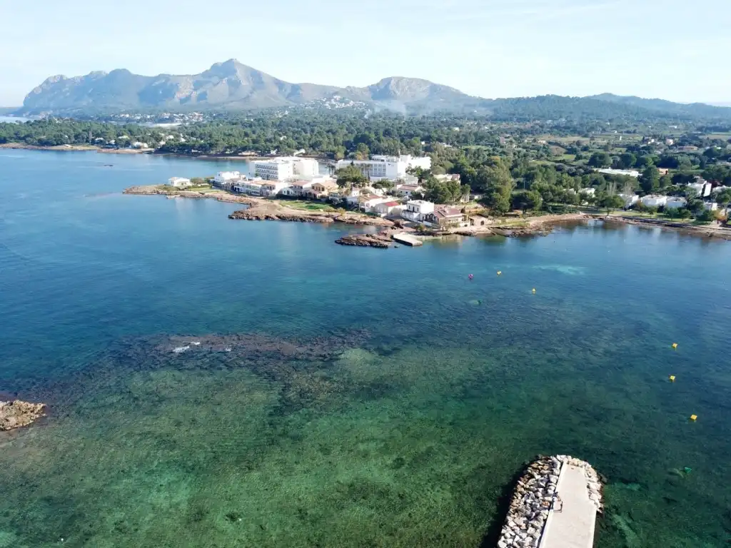 Vista exterior de Casa o xalet en venda en Alcúdia amb Aire condicionat, Jardí privat i Terrassa