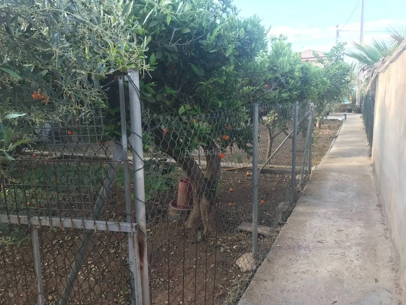 Terreno residencial en venta en Partida Collet 23, imagen 9