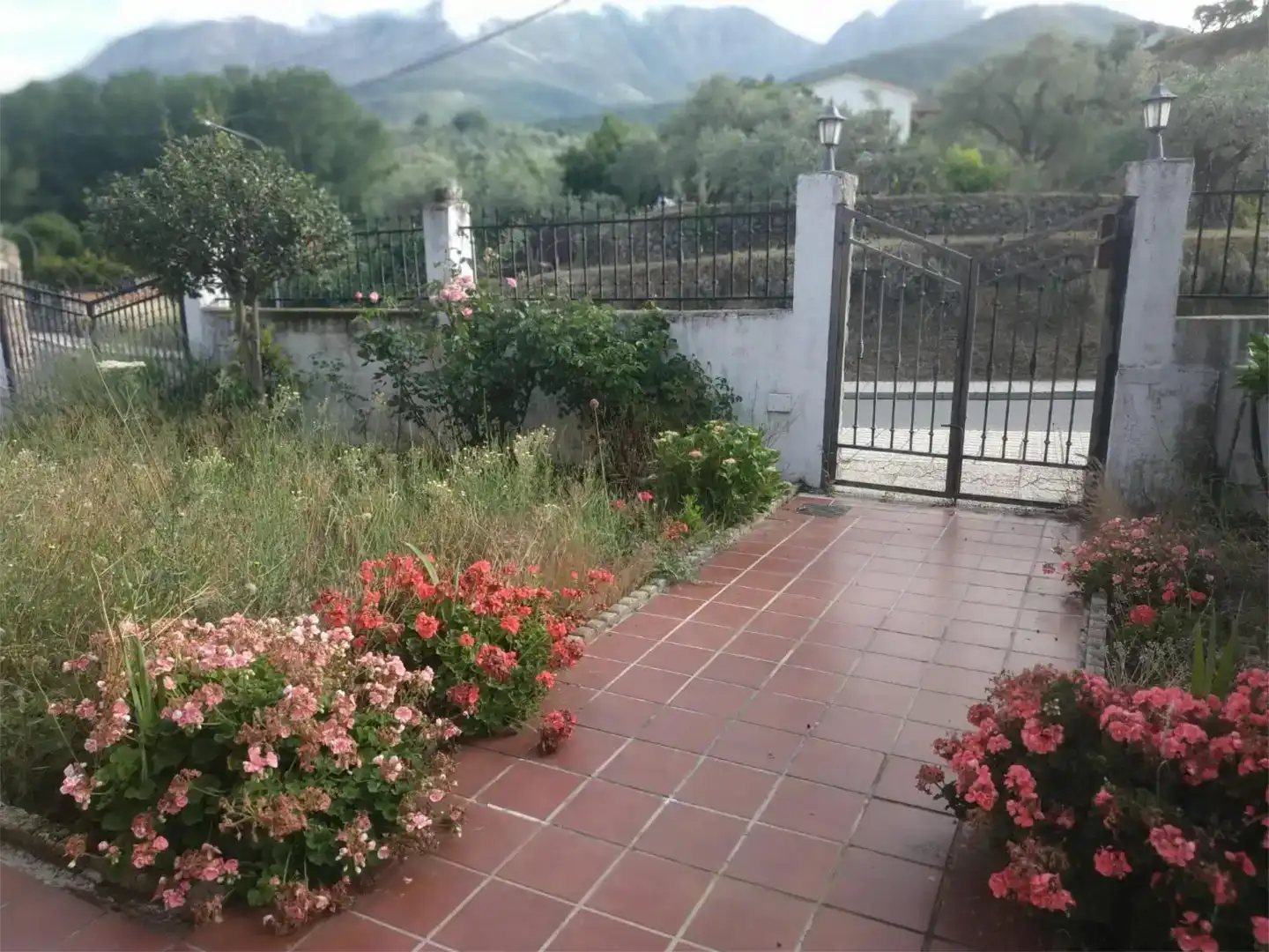 Jardín de Casa o chalet en venta en San Esteban del Valle con Jardín privado