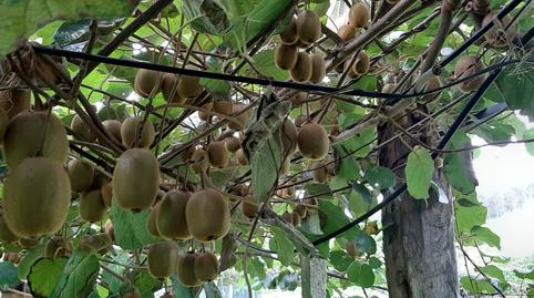 Photo 2 of Residential for sale in N/a, Cudillero, Asturias