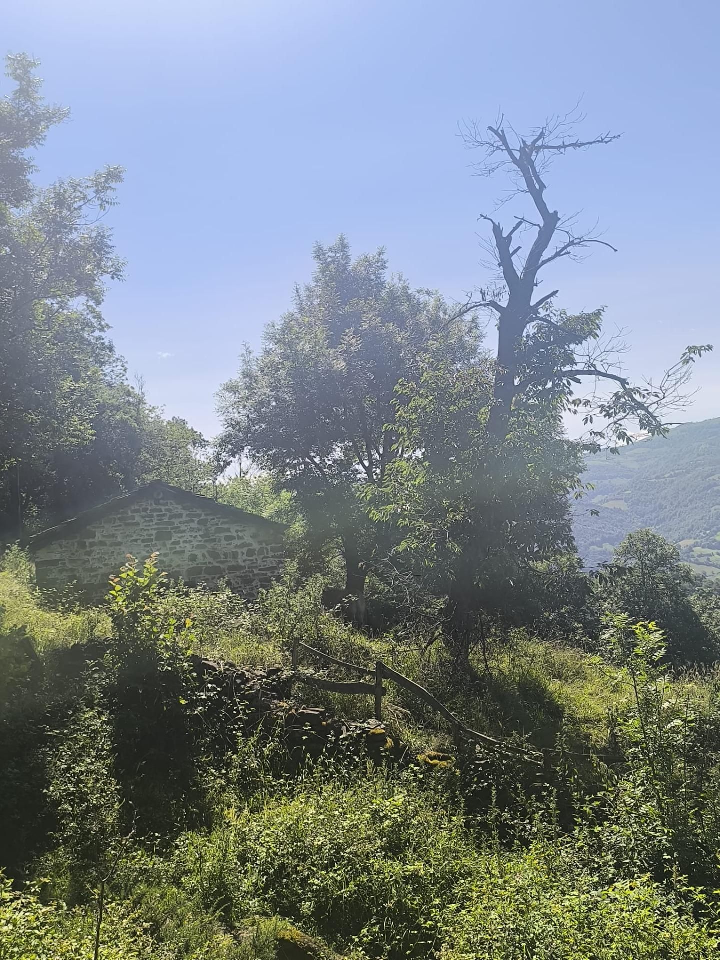 Finca rústica en venda en Aller amb Jardí privat