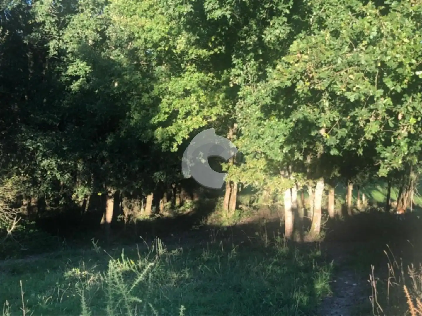 Terreni e lotti in vendita a Nogueira de Ramuín, imagen 27