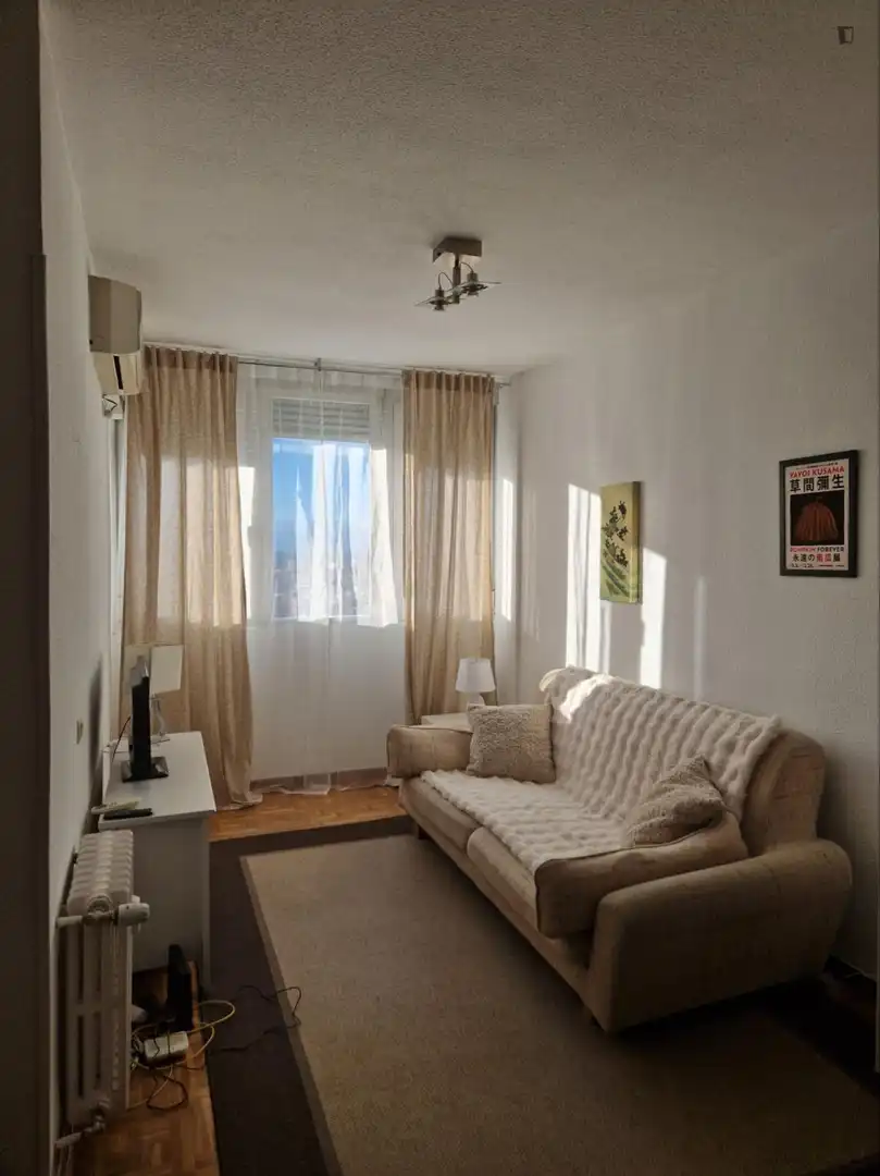 Sala de estar de Apartamento de alquiler en Madrid con Aire acondicionado, Calefacción y Amueblado
