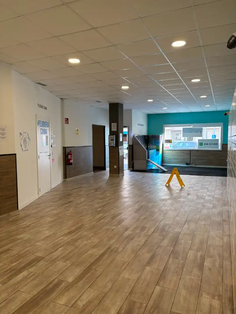 Gewerbefläche zur Übernahme in Barrocanes, imagen 2