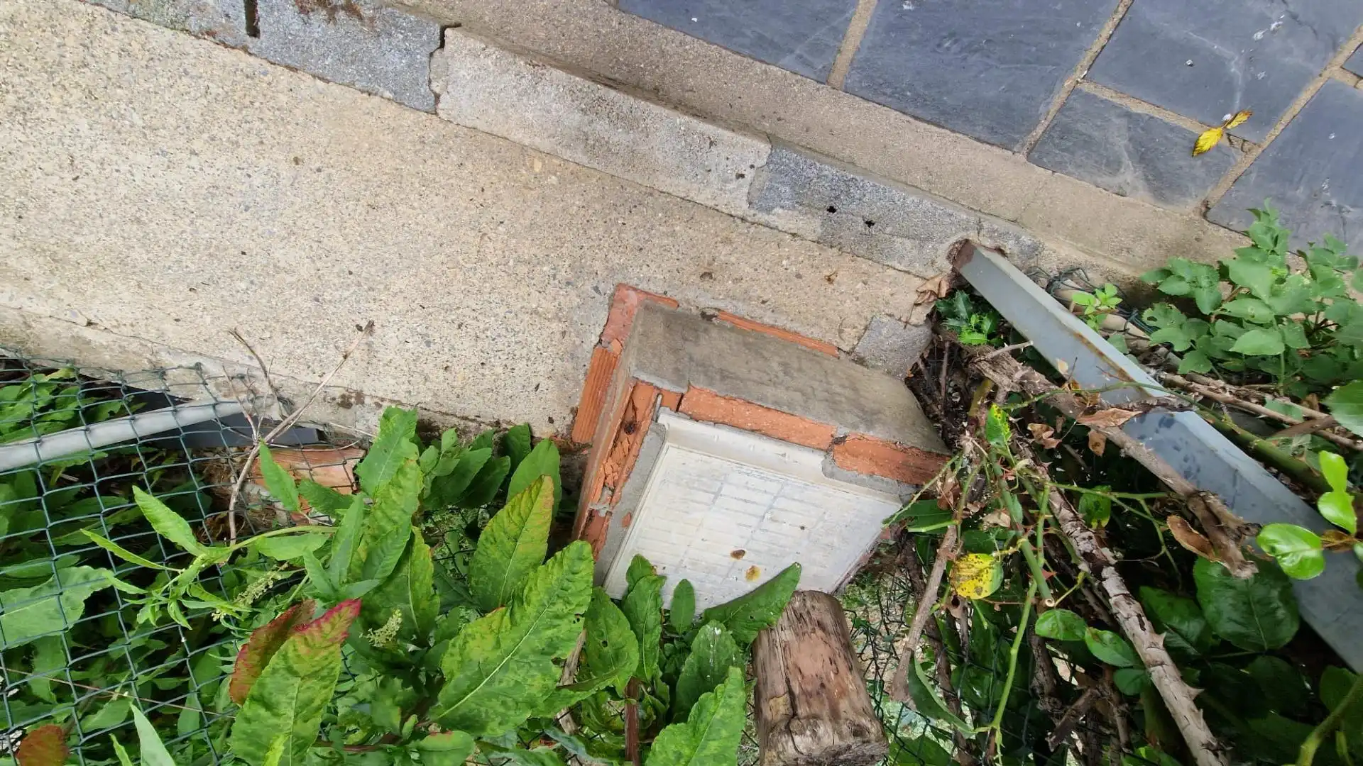 Terreni e lotti in vendita a Flores de Sil - La Placa, imagen 7
