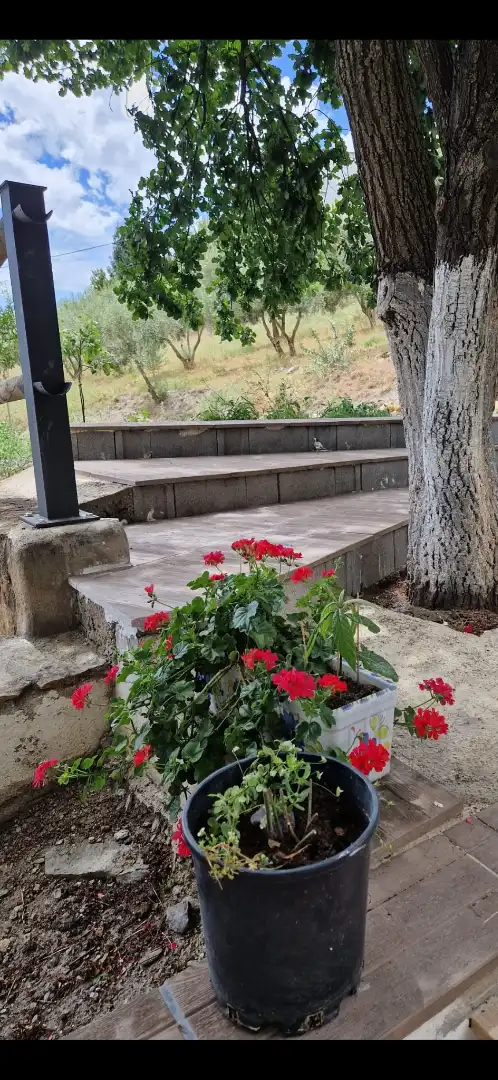Chalet con terraza en venta en Bérchules, imagen 41