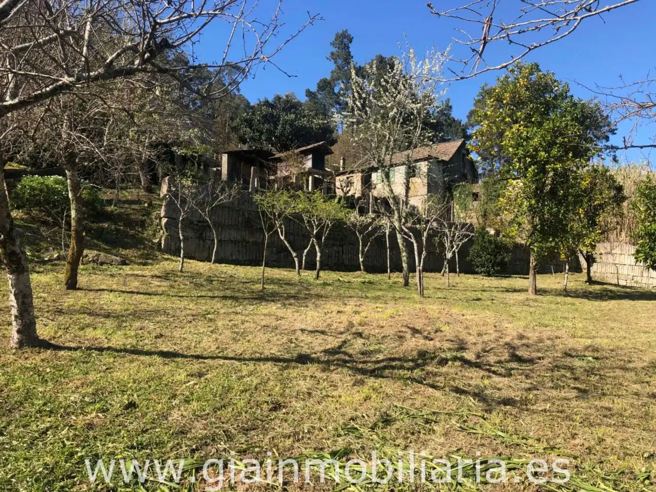 Haus mit Garten zum Verkauf in Calle Fabenlle, imagen 8