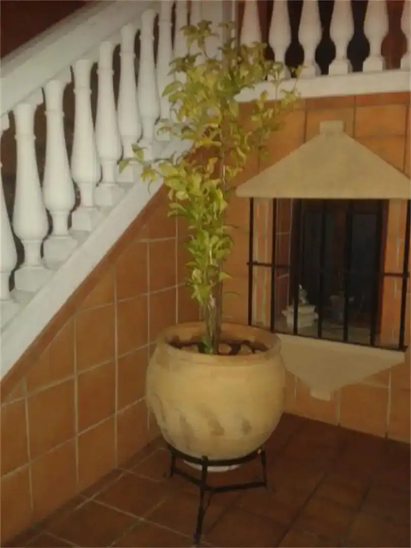 Casa adosada en venda en Ronda amb Parquet, Traster i Moblat