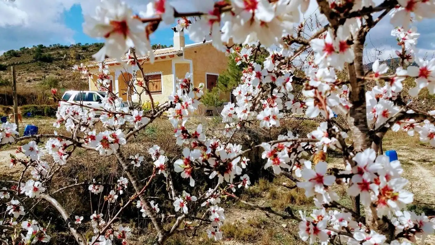 Casa con giardino in vendita a Partida les Macaroves, imagen 7