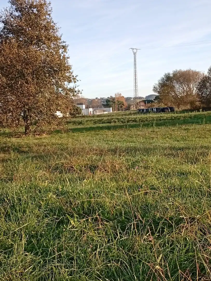 Lands and plots for sale in Polanco, imagen 11