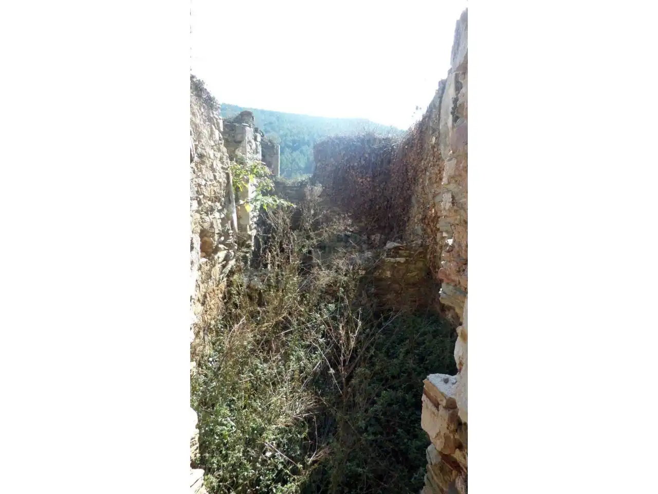 Garten von Country house zum Verkauf in Girona