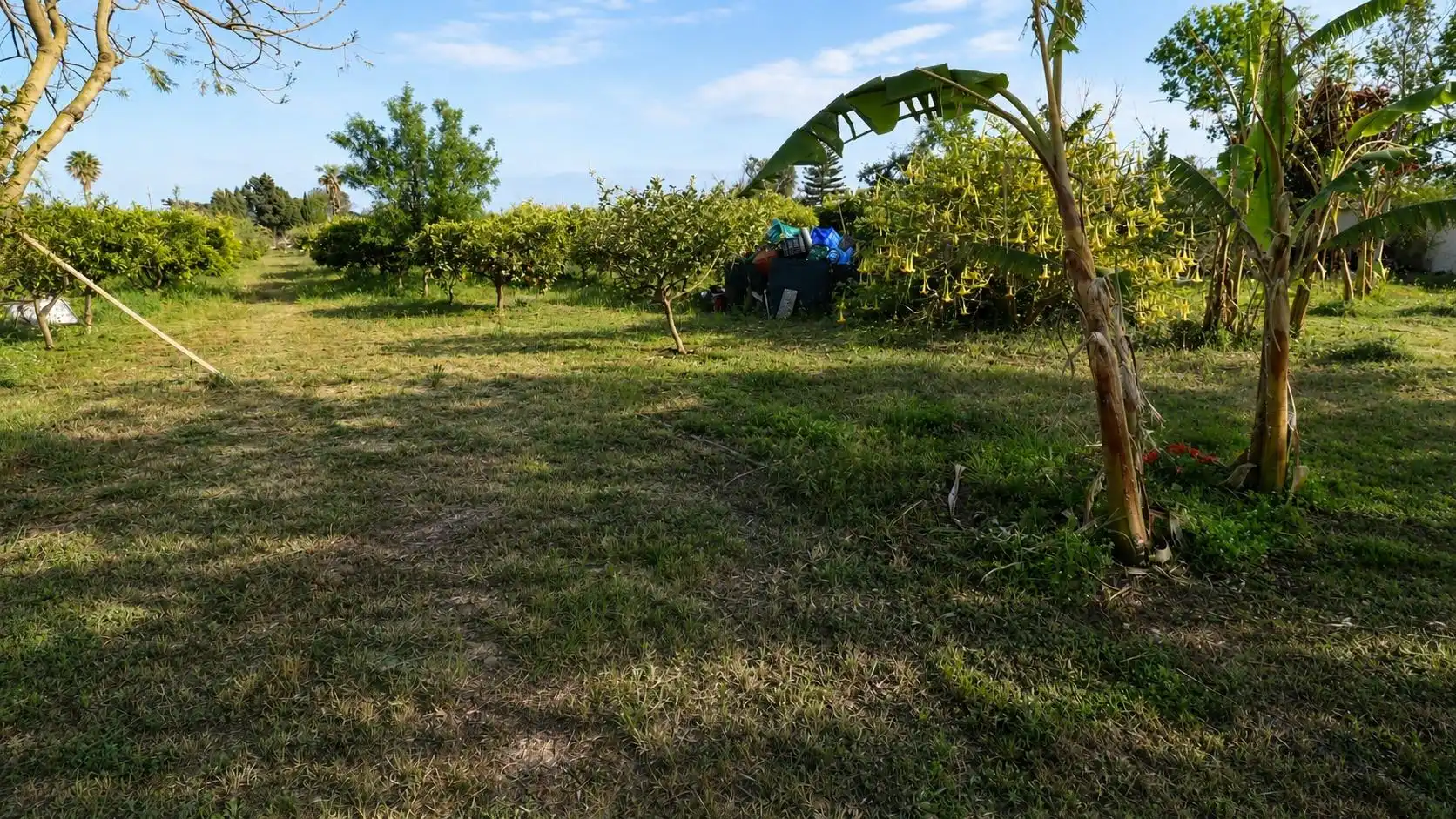 Country homes for sale in Alcanar  with Private garden and Community pool