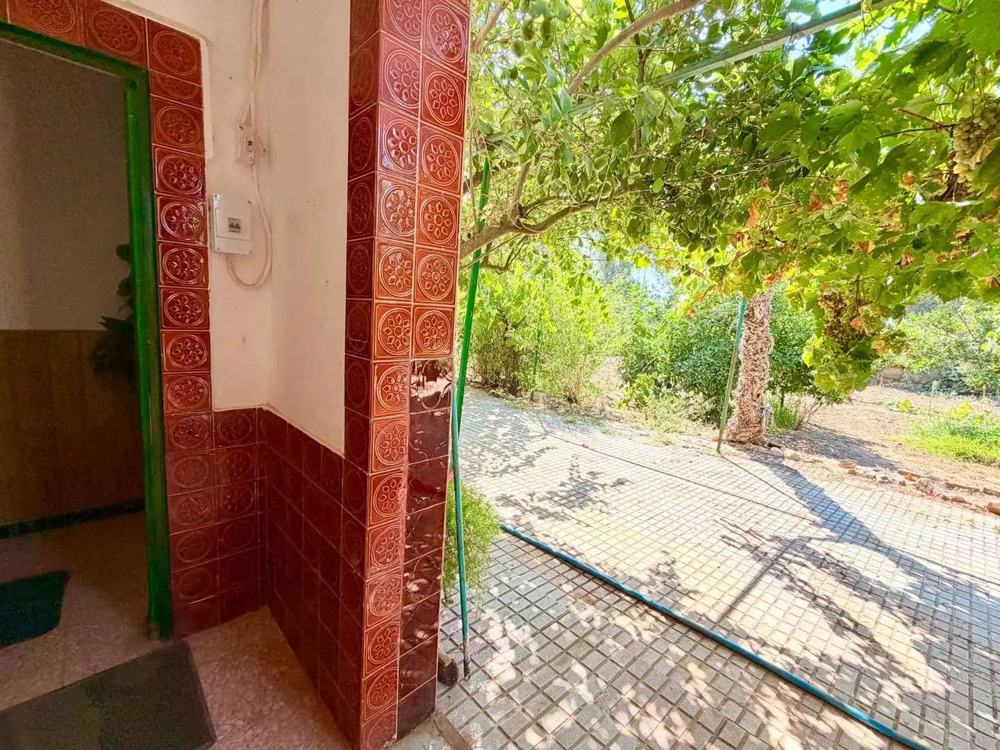 Jardín de Casa o chalet en venta en Valverde de Mérida con Jardín privado, Terraza y Trastero