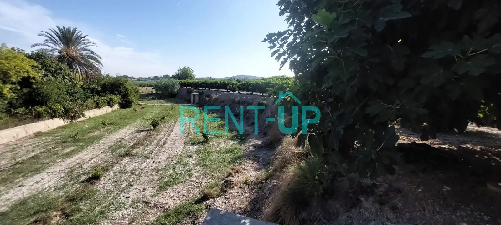 Terreny residencial en venda a Xàtiva, imagen 8