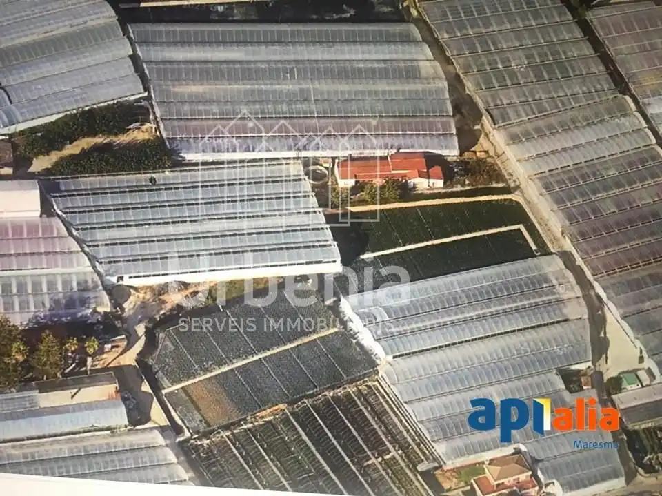Jardín de Casa o chalet en venta en Vilassar de Mar con Trastero y Piscina