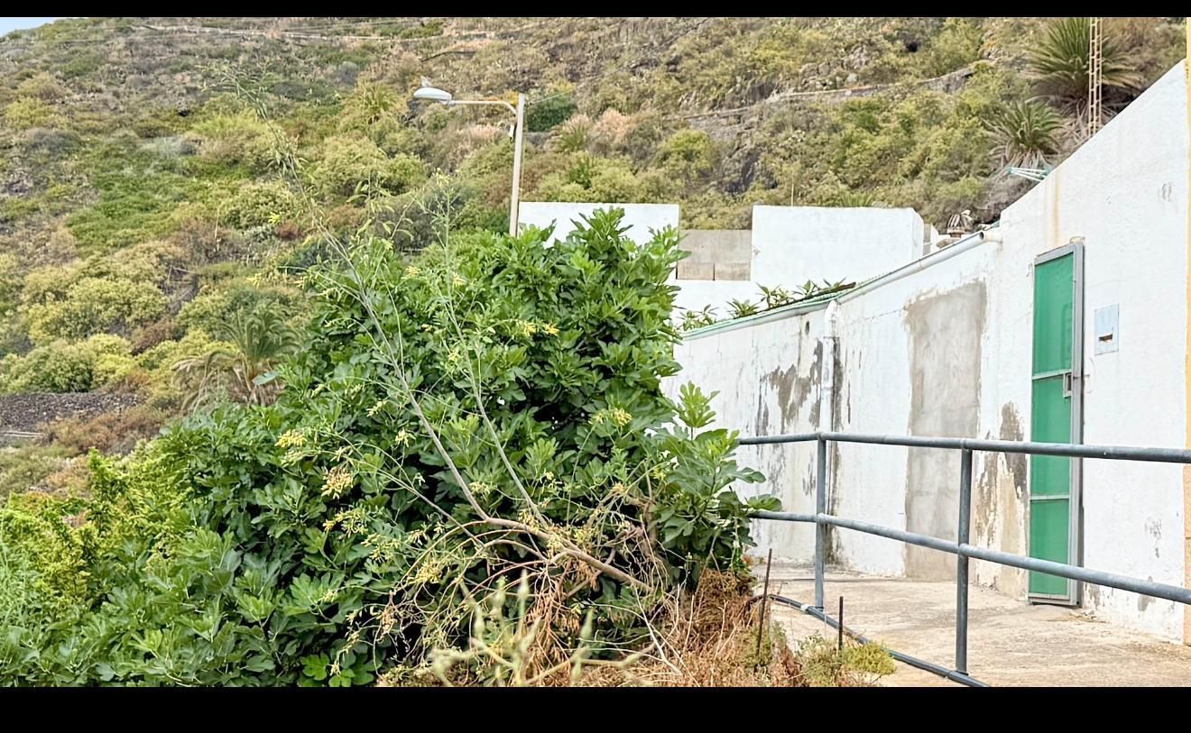 House or chalet for sale in San Cristóbal de la Laguna