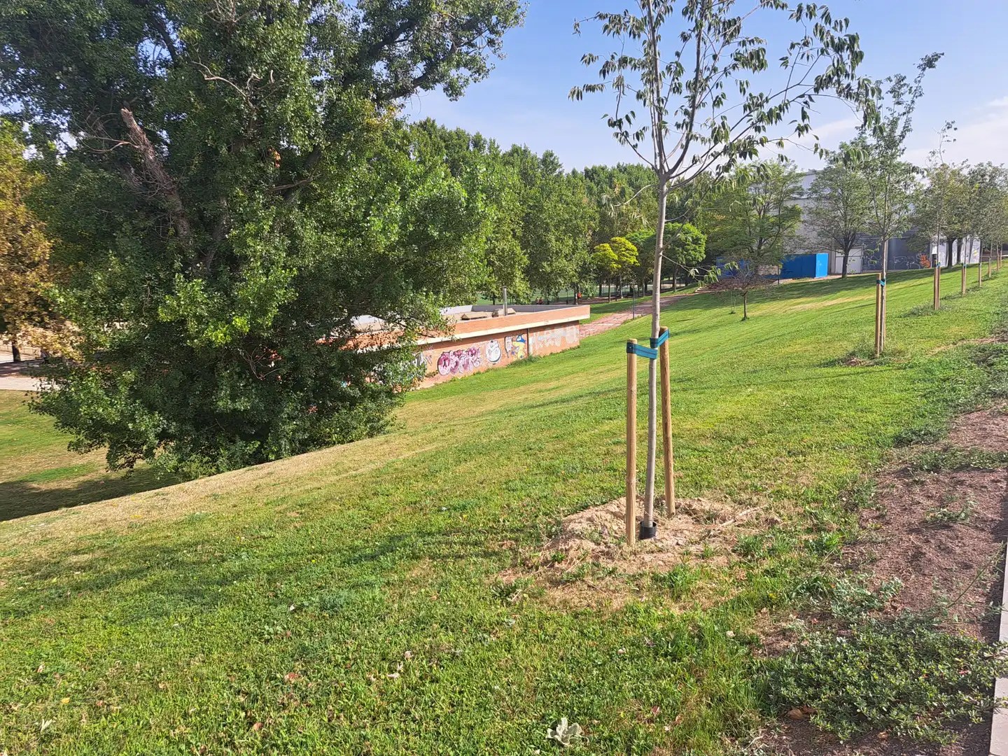 Residential land for sale in Calle Roncal 1, imagen 9