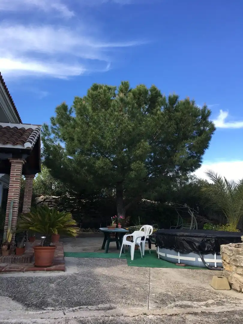 Garden of Country homes for sale in Archidona  with Terrace, Storage room and Furnished