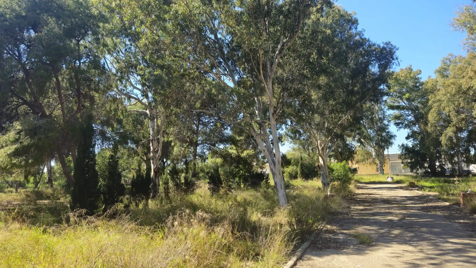 Terrenos y solares en venta en Mar Menor de Cartagena – Cabo de Palos, imagen 20