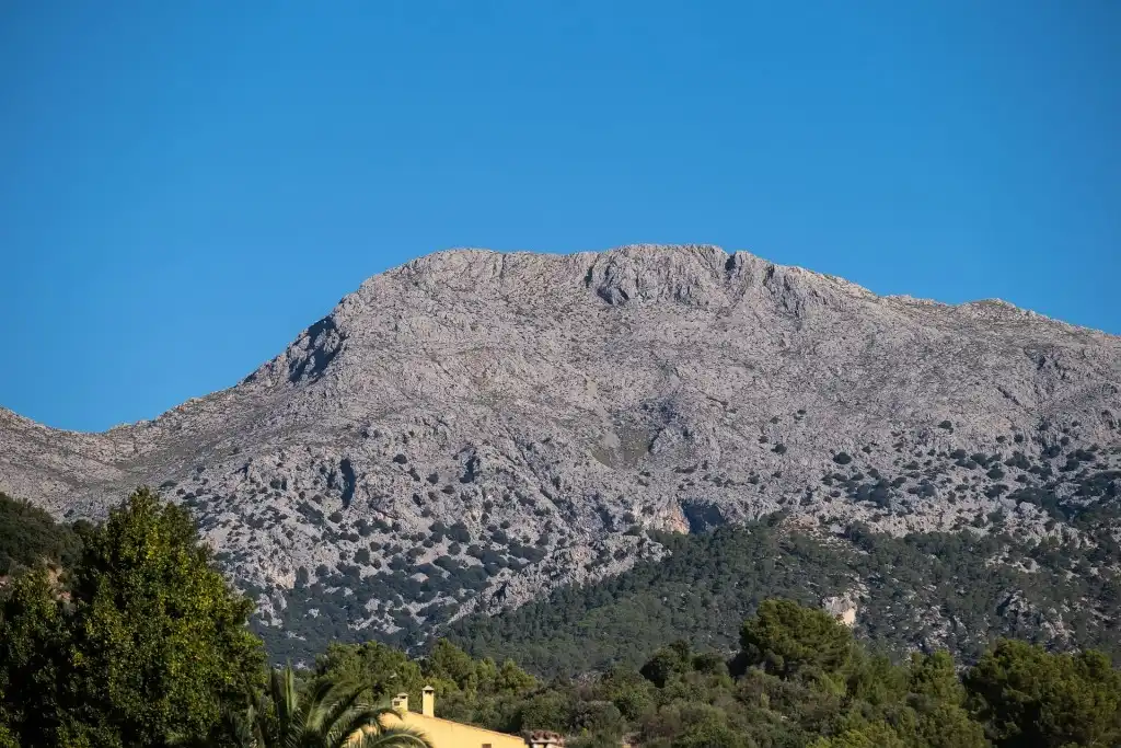 Casa rústica en venda a Mancor de la Vall, imagen 20