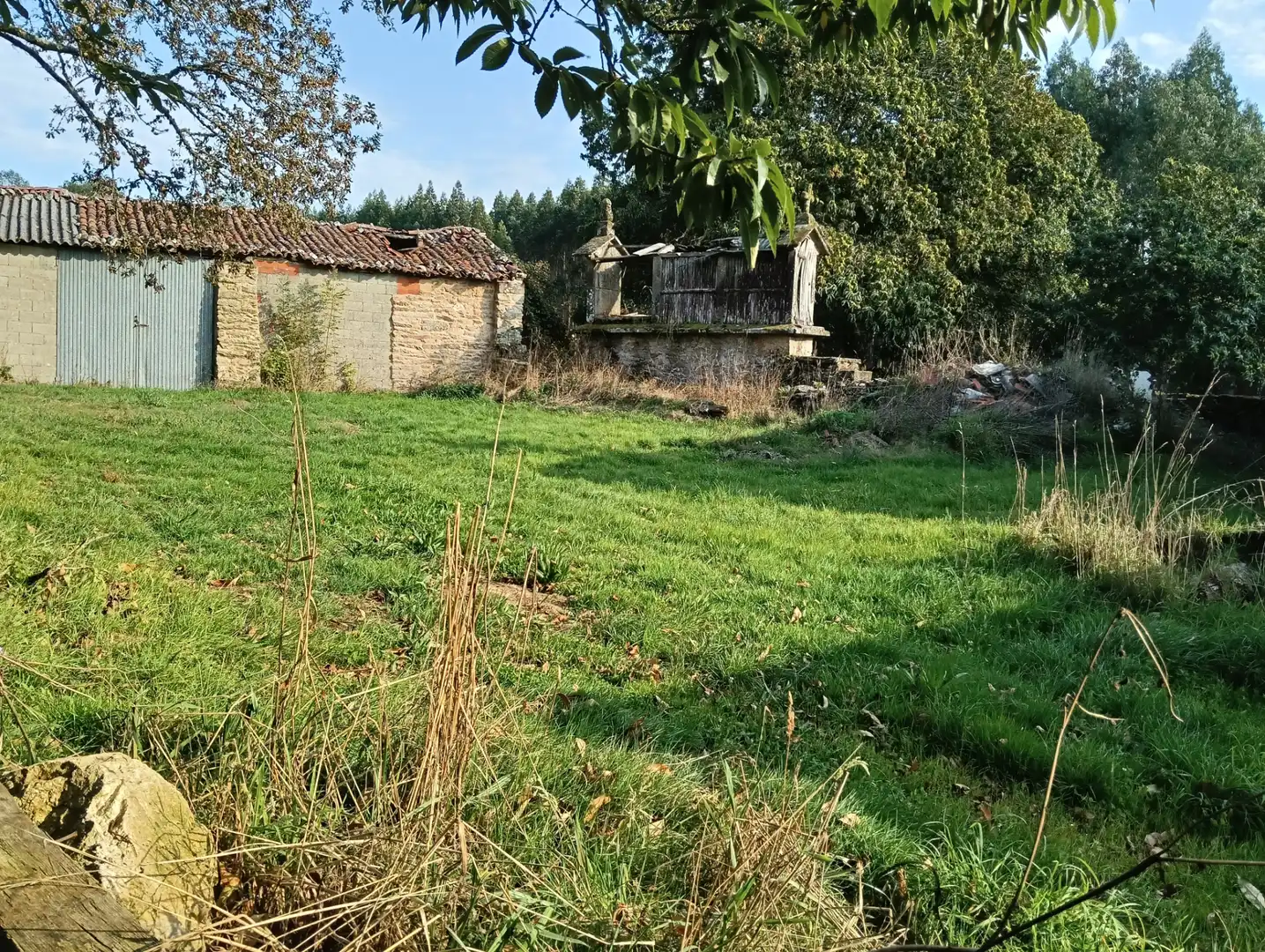 Casa con jardín en venta en Curtis, imagen 14