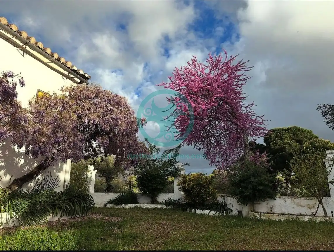 Country house with pool for sale in Calle Aguaperal, imagen 32