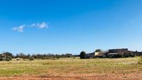 Finca rústica en venda en Llubí amb Jardí privat