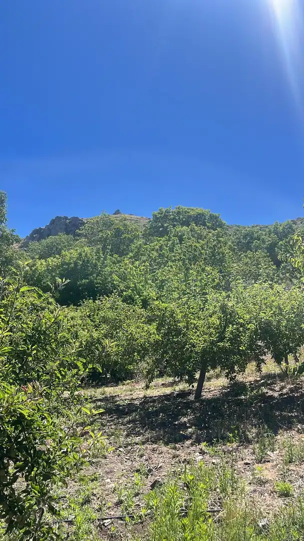 Terreni e lotti in vendita a Nigüelas, imagen 13