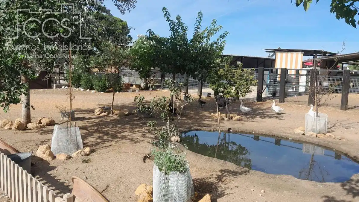 Casa rústica amb jardí en venda a Almonte ciudad, imagen 15