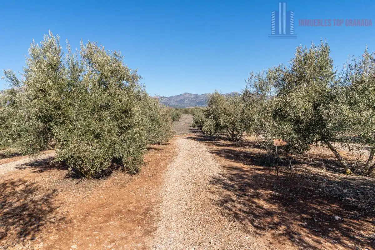 Terreni e lotti in vendita a Pago cortijo de las Monjas Parcela 19, imagen 20