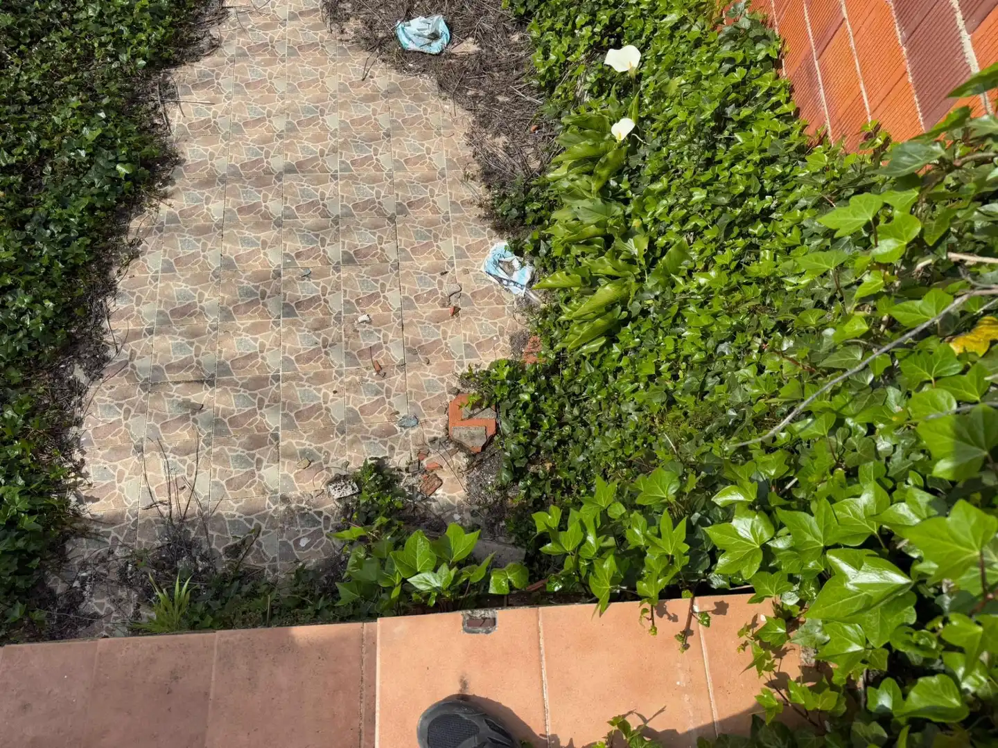 Garden of Detached homes for sale in Almendral