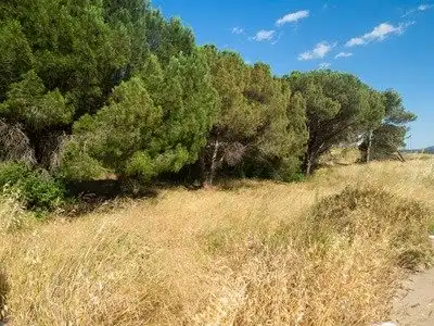 Industriegrundstück zum Verkauf in Eixample Residencial, imagen 4