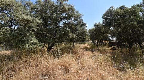 Photo 5 of Residential for sale in Jardín de los Reyes - Parque Real, Madrid