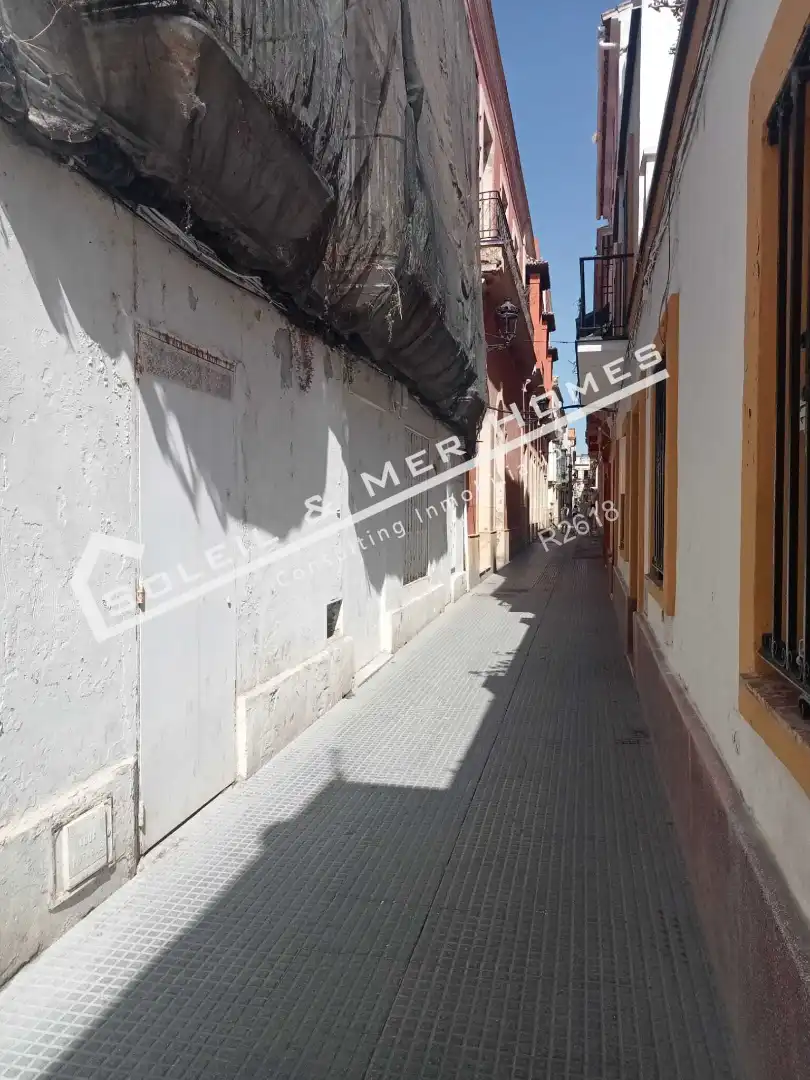 Casa amb terrassa en venda a Calle Ricardo Alcón, imagen 3