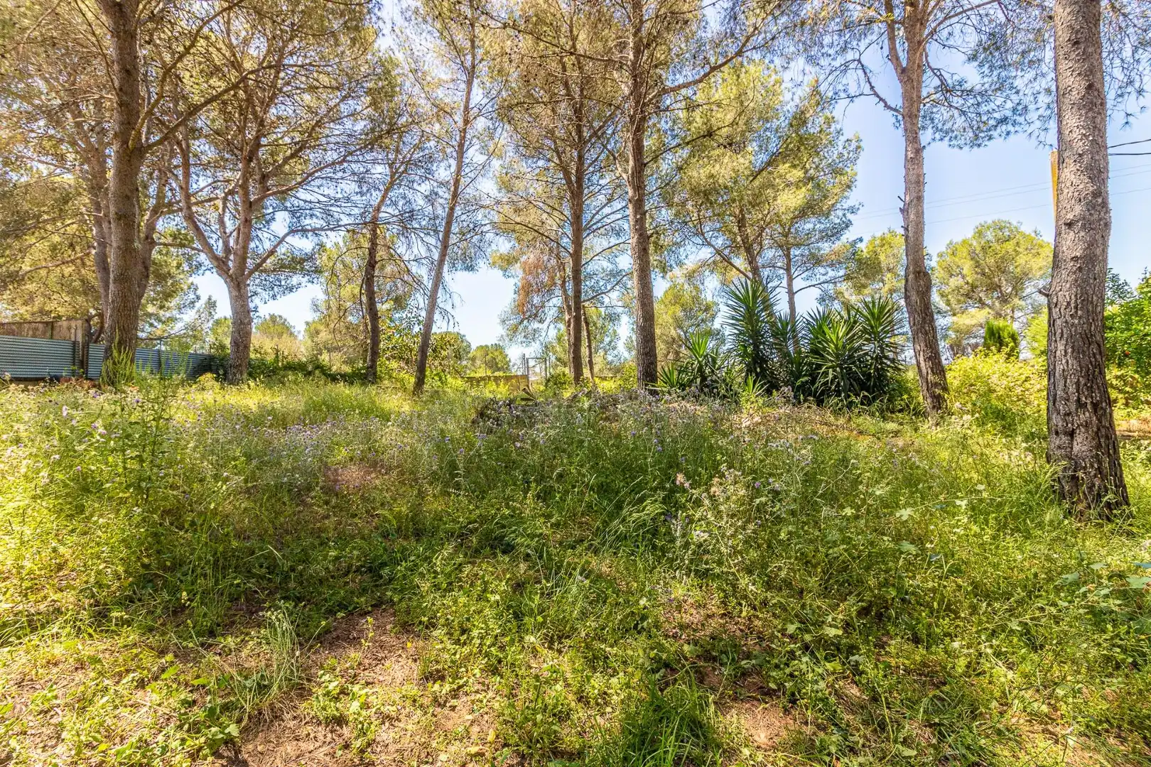 Casa o chalet en venta en Alberic con Aire acondicionado, Jardín privado y Piscina