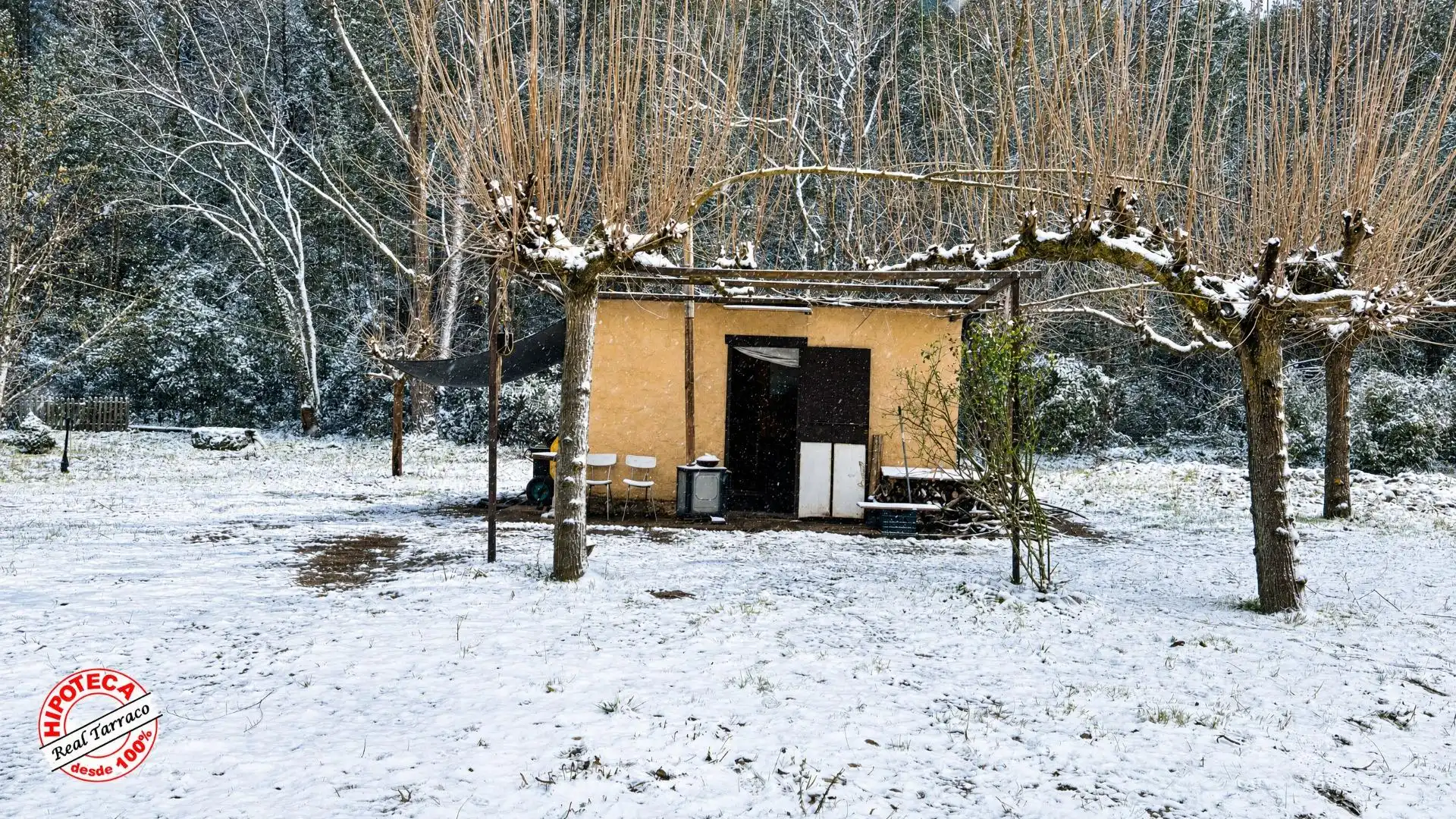 Terreno rústico en venta en Mont-ral, imagen 12