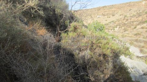 Finca rustica en venta en Canjáyar, immagine 2