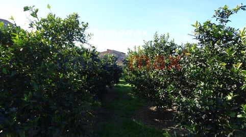 Finca rustica en venta en Xerta, imatge 5